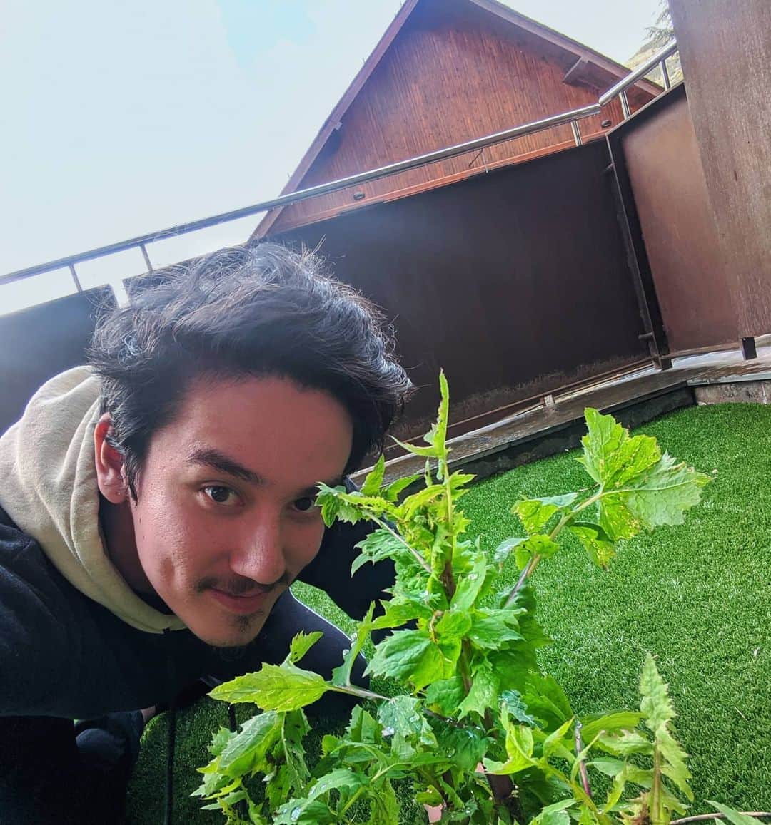 じゅんのインスタグラム：「僕の大好きな雑草とツーショット」