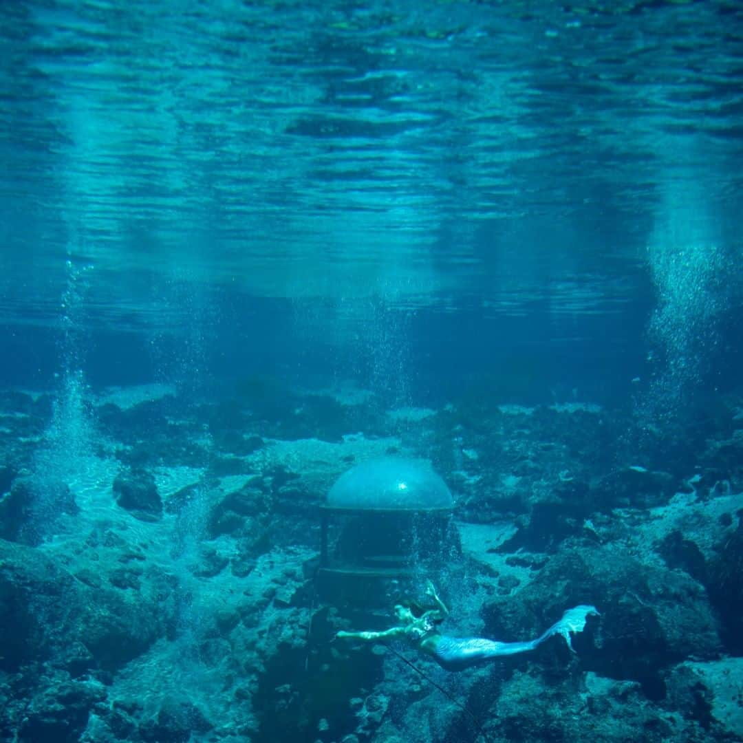 National Geographic Travelさんのインスタグラム写真 - (National Geographic TravelInstagram)「Photo by @hellokrisdavidson | A mermaid glides by the underground viewing theater at Weeki Wachee Springs State Park in Florida. This deep natural spring has hosted an enduring bit of Americana, a roadside attraction of performing mermaids, since 1946. Echoes of the state’s origin myth of Ponce de Leon’s whimsical quest for the fountain of youth show up repeatedly throughout Florida's attractions. The state's early promoters helped shape the idea of Florida as a land with magical waters offering a sun-filled vitality. Health spas sprouted up around springs, touting sunshine and cures for all manner of ailments. The campaign gained traction during World War II when grand hotels were compelled to house soldiers who would later return in droves with their families. This cultivated aura of youthful exuberance and fantasy helped give rise to the state’s imaginative influx of theme parks. #Florida #mermaid #weekiwachee」5月15日 21時07分 - natgeotravel