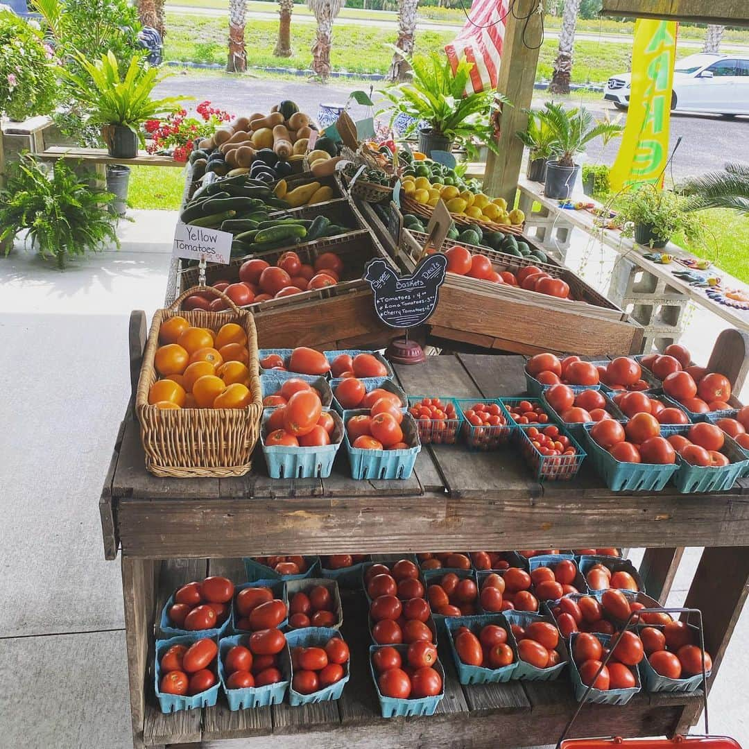 ルーク・エヴァンズさんのインスタグラム写真 - (ルーク・エヴァンズInstagram)「Buying my food from independent markets helps small local businesses. Also, the fruit and Vegetables always taste better. And the fish too!!! #supportyourlocalbusiness #localbusiness #supportsmallbusiness #supportlocal」5月15日 21時11分 - thereallukeevans