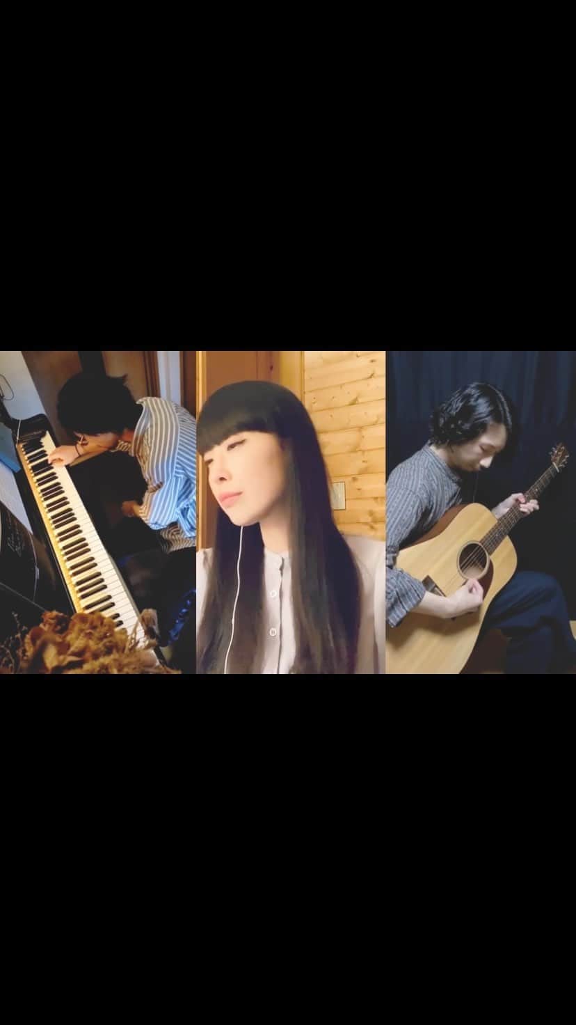 岡本愛梨のインスタグラム：「Can't Help Falling In Love - Elvis Presley (1961)  #piano & chorus @yuta_okubo  #guitar &  chorus @ragingbeatle @reijimiura08  Thank you!!✨ スマホの動画で自宅コラボしてみました😊 人生初のワイプでコーラス🙋‍♀️ #elvispresley #canthelpfallinginlove #cover #カバー #歌ってみた動画 #iphoneonly #コラボ #自粛生活 #stayhome #iphoneチャレンジ #musician #遠隔コラボ #スマホのみ #一発撮り #動画でコラボ　#おうち時間　#stayhome」