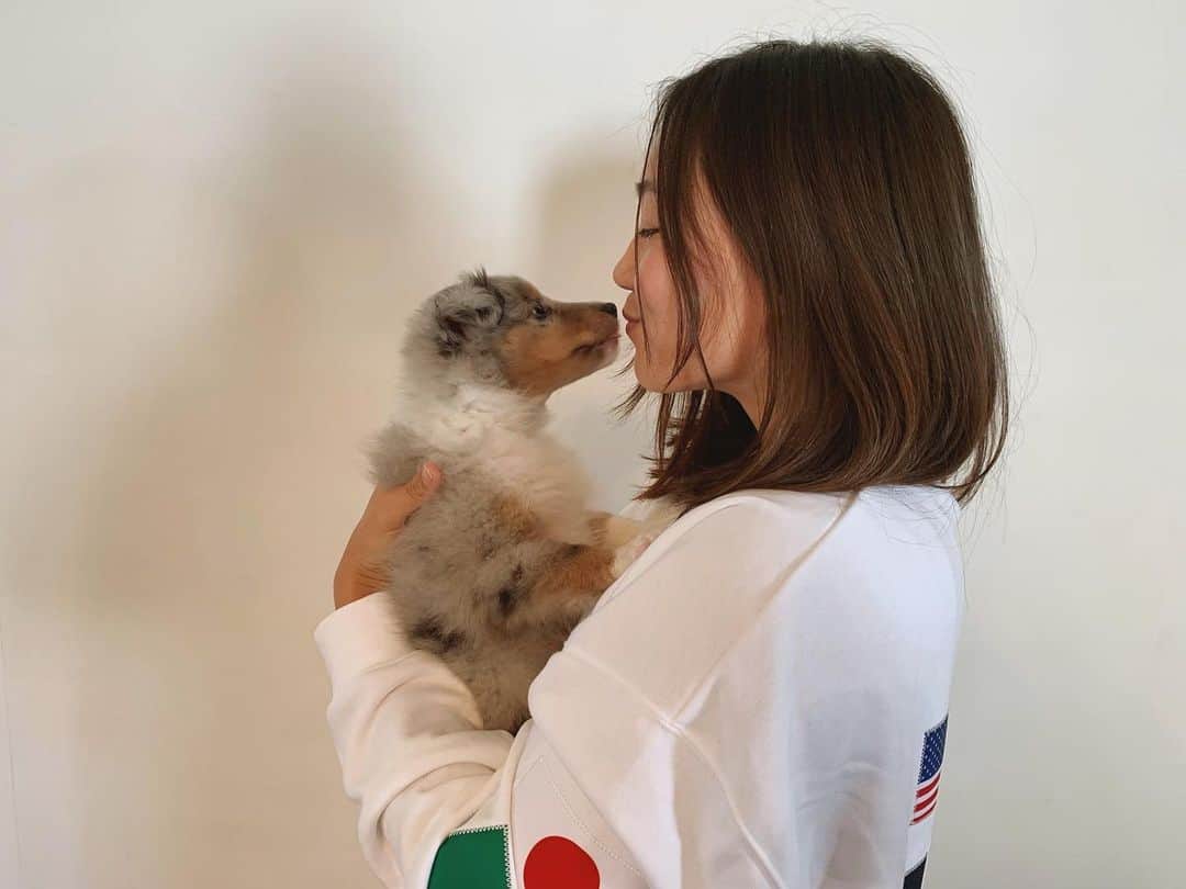 八木愛莉さんのインスタグラム写真 - (八木愛莉Instagram)「Welcome to my family, little sweetheart 💋﻿ I love you 💋﻿ ﻿ #puppy#newfamily#shetlandsheepdog」5月15日 21時21分 - airi.yagi