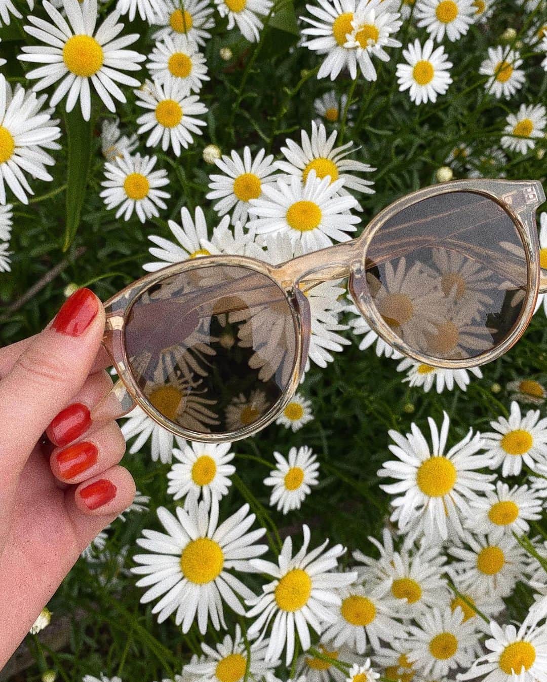 松井貴香さんのインスタグラム写真 - (松井貴香Instagram)「- - おにゅーなサングラスと おにゅーなネイル🌼🍊 - - #0515 #サングラス #ネイル #夏 #テラコッタ #new #summer #color  #sunglasses #nail #flower #instagood #like4likes #followｍe」5月15日 21時53分 - kiko414_m
