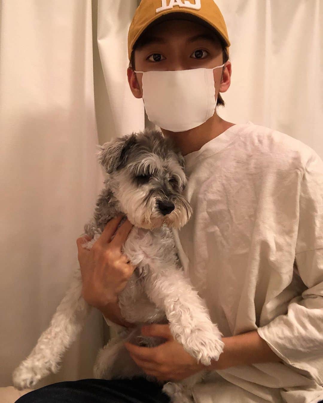 岡田隆之介のインスタグラム：「アベノマスクと嫌々抱かれてる愛犬 #アベノマスク」