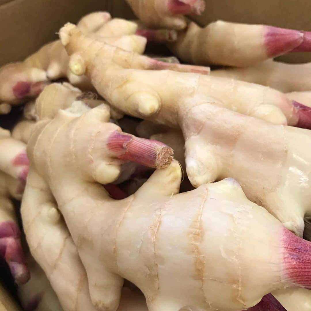 旅館 川端屋のグルメインスタ