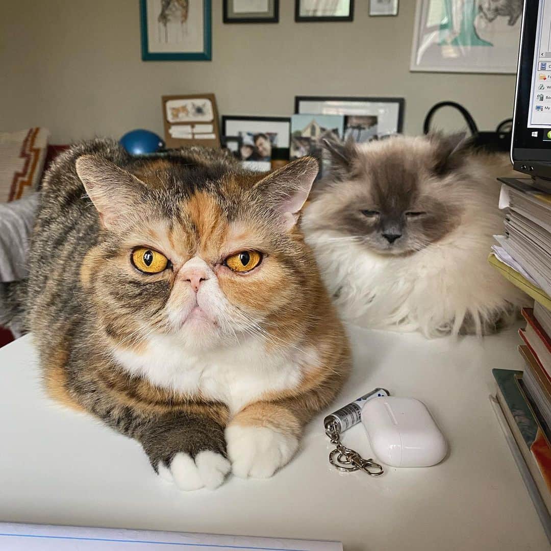 Tinaのインスタグラム：「Patiently waiting until 5pm 😂 #friyay」