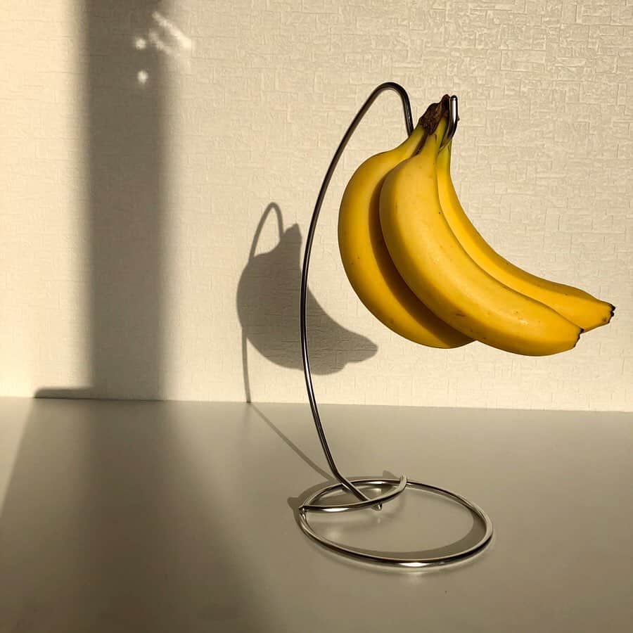 ◆miki◆さんのインスタグラム写真 - (◆miki◆Instagram)「* * 🍌🍌🍌 * バナナスタンド考えた人に お礼の電話したい📞くらい 買ってよかった代物 * スーパー行ったら とりあえずバナナ買うし 365日切らさずなんやけど （バナナないと不安やない？） 今の今まで持ってなかった… はよ、買えば良かったん * 西陽の力を借りて ババアがバナナを撮影 よく考えたらイッちゃってる * * 最近はねリンゴとキュウイと バナナとイチゴを小さく切って ヨーグルトとグラニュー糖少々で 混ぜて、はい‼️もう旨いやつ‼️ さて 明日の朝は何を作ろうか💀💀💀 * #バナナ #バナナスタンド #西陽でバナナ #バナナババア #🍌」5月15日 23時59分 - gold______star
