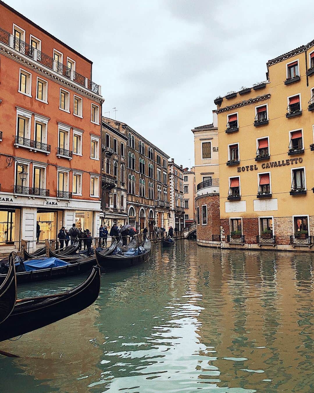 相知明日香さんのインスタグラム写真 - (相知明日香Instagram)「🇮🇹 . 𝙈𝙚𝙢𝙤𝙧𝙞𝙚𝙨 𝙤𝙛  𝙑𝙚𝙣𝙞𝙘𝙚. 🌹 カメラ慣れしてた鳥。翌日からのクルーズに向けてメンバー 全員が集結した夜に隣のテーブルで食事してたチワワ。 思い出がいっぱい。♥️ ( ･ᴗ･̥̥̥ ) . . . #旅するヴァイオリニストinITALY #旅するヴァイオリニストinSunPrincess #JTBSUNPRINCESSWORLDCRUISE2019 #SunPrincess #WorldCruise #Cruise #Venice#Venezia#ITALY#ITALIA#Travel#Traveler#Violinist#Artist#music#love#happy#相知明日香#旅するヴァイオリニスト#旅#旅行#ヴァイオリン#音楽#イタリア#ベニス#ヴェネツィア#クルーズ#世界一周#世界一周クルーズ#🇮🇹」5月16日 0時07分 - asukalohappy