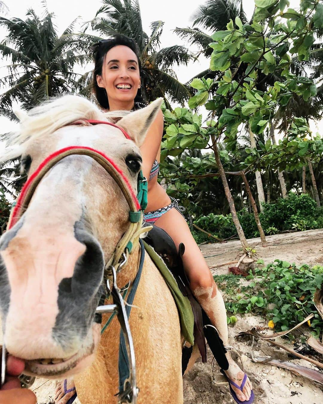 Jade Furutaのインスタグラム：「去年初めて馬乗った🐴💕おもろいけどちょっと怖かったかも😅Last summer I rode a horse for the first time✅ and it was at the beach!🥰 I was also tipsy on Tanduay coke😂✨✨✨✨✨✨✨✨✨✨✨✨✨✨✨✨✨#philippinesbeaches #siargao #femalenomad . . . . . . . . . . . . . . . . . . . . . . . . . . . . . . . . #フィリピン #楽しい時間 #ビキニモデル #ハーフモデル #itsmorefuninthephilippines #bikinisphilippines #インフルエンサー #beautifullocations #bikinimodels #solotravelgirl #パラダイス #siargaophilippines #siargaosurf #beautifuldestinations #whitesand #paradise #bikinimodel #インスタグラマー #travelinfluencer #thesiargaoisland #海外旅行大好き #インスタグラマーズジャパン #resortsph #philippinestravel #ビーチ #うまのり」