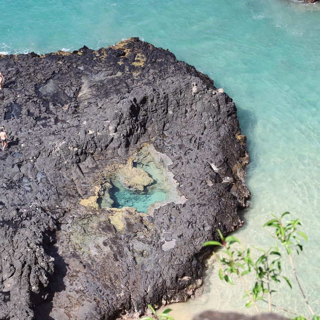 ジョアナ・サンスのインスタグラム：「Lembrando daquele día em Fernando de Noronha... Foi muito difícil chegar a essa praia😅 mas valia a pena ver essa maravilha💚 #fernandodenoronha #Brasil」