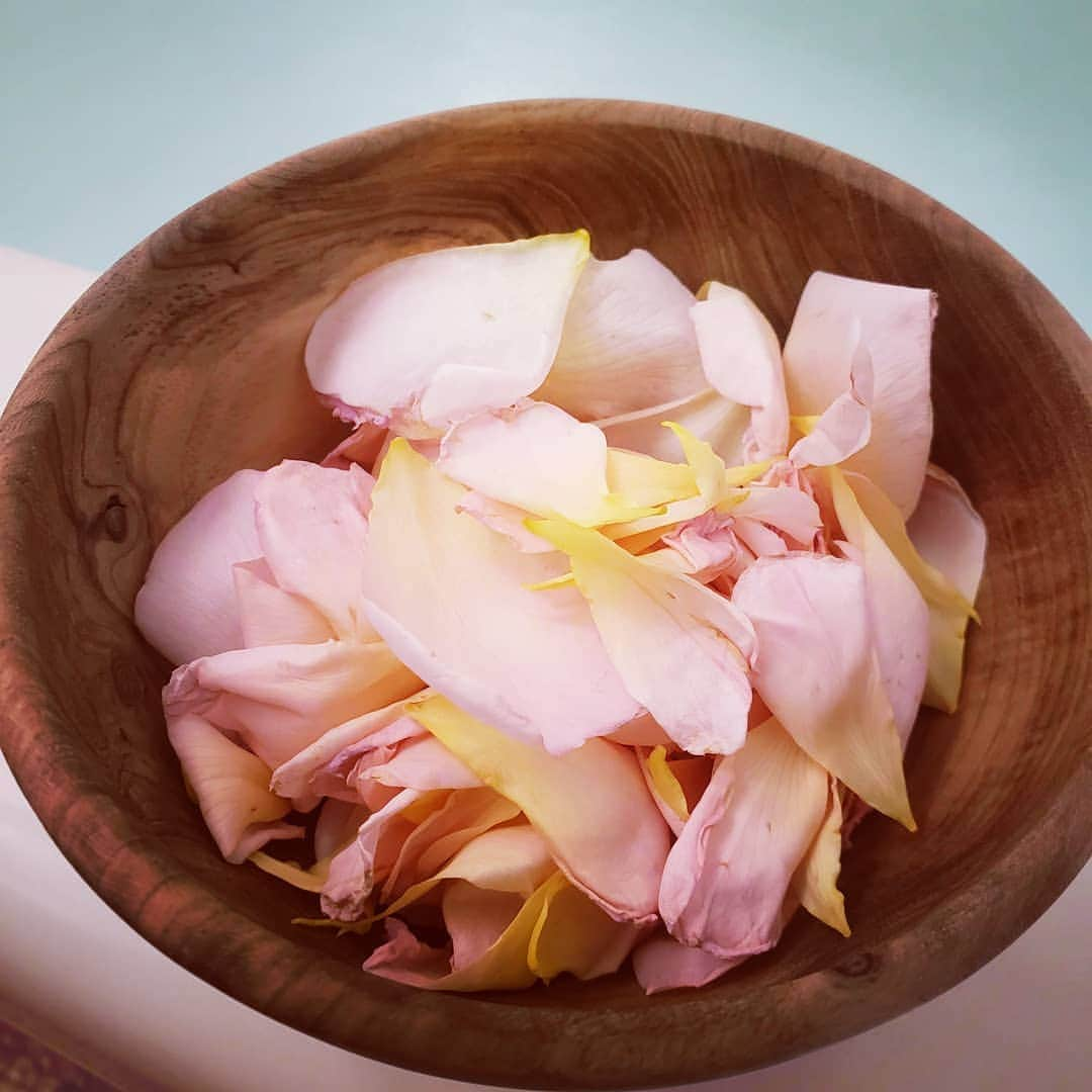 向山志穂のインスタグラム：「お家で育てている薔薇で 贅沢Bath time🌹  娘はプリンセス気分みたいでとっても楽しそうでした👸  最近の癒し...　イングリッシュローズ。 香り高い薔薇でとっても癒されます。  #私の癒し#イングリッシュローズ#薔薇#Rose」