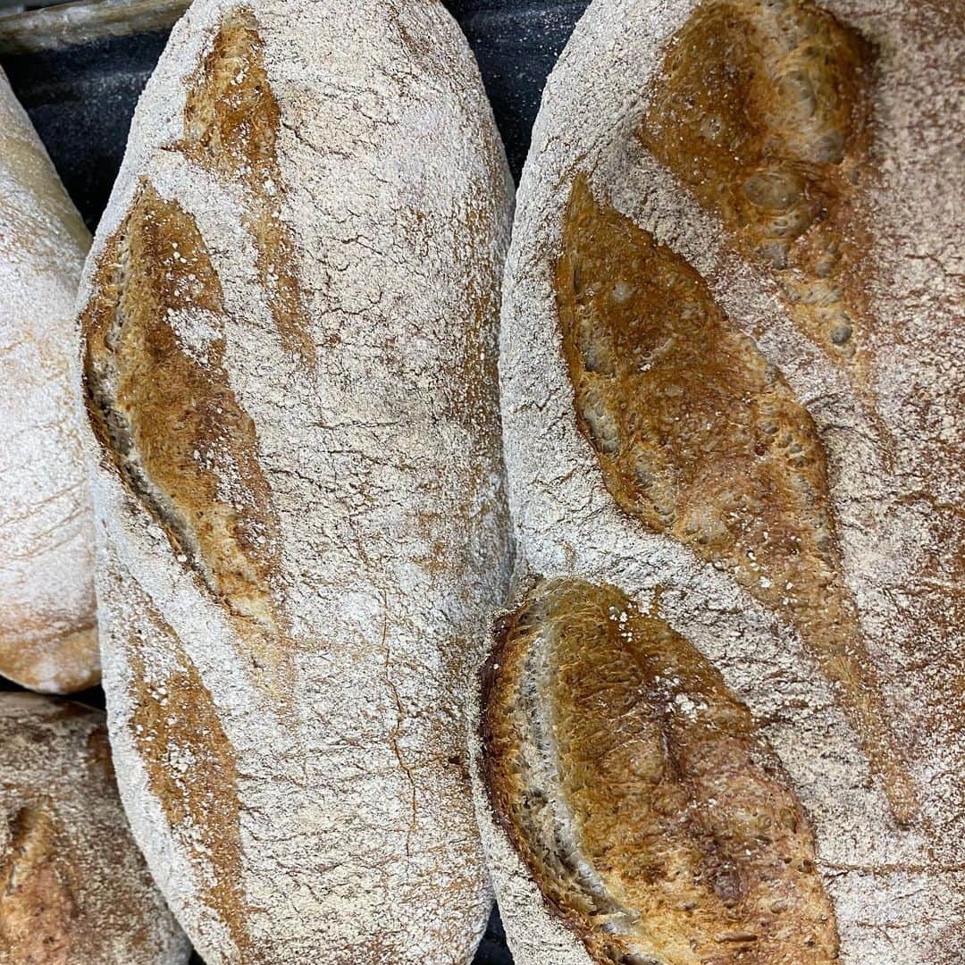 魔女菅原さんのインスタグラム写真 - (魔女菅原Instagram)「#パンペイザン  農夫のパンという意味のフランスのパンです。ライ麦粉と全粒粉が多く配合され、香ばしさと素朴さがあります。  #盛岡パン #盛岡パン屋 #ハード系パン #発酵種法 #自家製天然酵母のパン屋さんカンパーニュ  #魔女菅原」5月16日 11時26分 - hatsuyosugawara