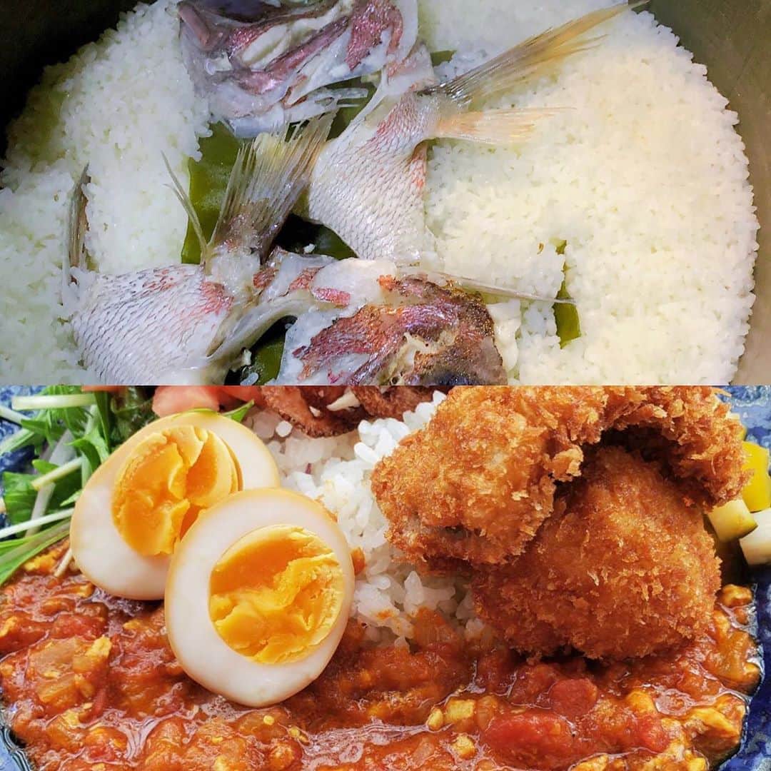 おっきゃがりのインスタグラム：「本日カレー始まりました！  おっきゃがりの夜営業は17時から20時までです。  よろしくお願い致します！#大阪#大阪福島#福島グルメ#梅田グルメ#海鮮居酒屋#居酒屋#日本酒#47都道府県#日本酒巡り#飲み屋#JR福島駅#駅近 #とり藤#うぉっしゅ#多呼おどり#福島壱麺#十忠八九#86ストア#カレー#海鮮カレー#スパイス#真鯛#鯛めし」