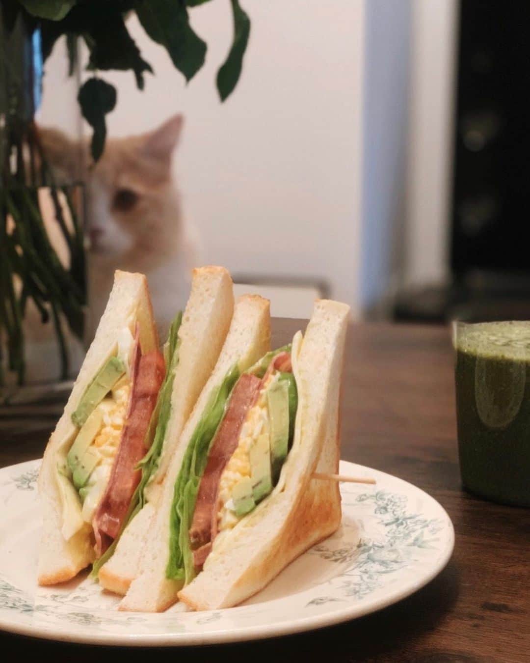 石井謙伍のインスタグラム：「今日の朝ごはんは妻特製BLTサンド&グリーンスムージー🥪マヨネーズも自家製だそう😆自粛生活では食生活が乱れてしまいがちですが、妻のおかげで健康的に過ごせています🙏狙われているので早く食べないと🙀 #食欲おばけ」