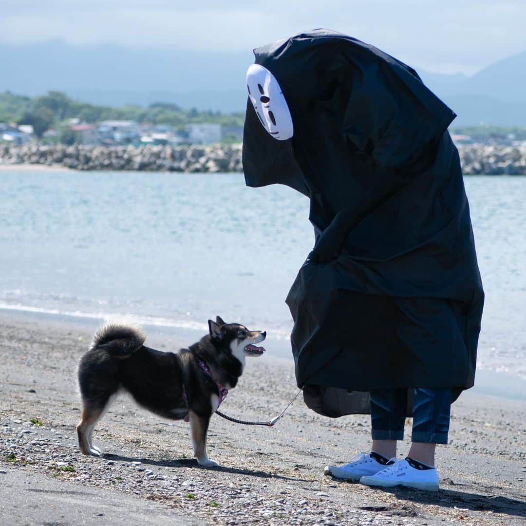 吾子のインスタグラム