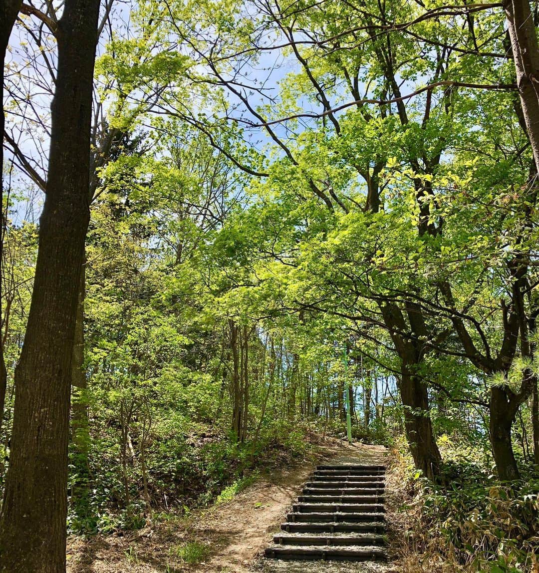 北広アキさんのインスタグラム写真 - (北広アキInstagram)「自然の中で深呼吸。 早くみんなに会いたいな。 会える日が来るまで我慢。 今をがんばろう。  #コロナウイルス対策 #自然 #公園 #今をがんばろう」5月16日 12時23分 - aki_kitahiro