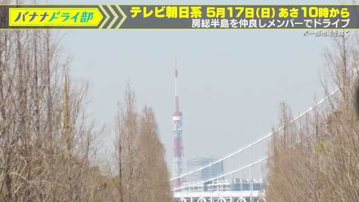 テレビ朝日「バナナマンのドライブスリー」のインスタグラム：「﻿ ／﻿ いよいよ明日🔔﻿ 5/17(日)あさ10時からは﻿  #バナナドライ部　﻿ ＼﻿ ﻿ #バナナマン からの﻿ 見どころ紹介VTR📺﻿ ﻿ 【ゲスト】﻿ #YOU #藤本敏史 #カズレーザー ﻿ #渡辺直美 #佐藤栞里 他﻿ ﻿ ﻿ 初回放送は仲良しメンバーで﻿ #房総半島 をドライブ😎﻿ ﻿ 幻の絶景サンセット☀️﻿ &#マザー牧場 の#菜の花畑﻿ ﻿ 春の房総を満喫SP🚗」