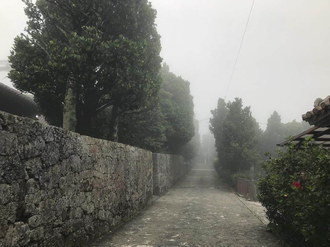 藤代冥砂さんのインスタグラム写真 - (藤代冥砂Instagram)「朝靄の散歩道。 今朝はのんびり1時間くらい歩いた。 村の佇まいを味わい、 丘の上に登ったり。 1日の良い始まり。  佳い土曜日を！  #朝靄　#朝の散歩　#村民　#沖縄」5月16日 7時50分 - meisafujishiro