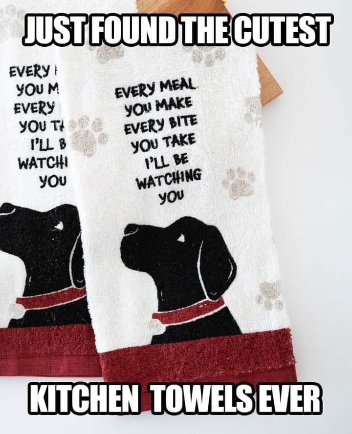 Animalsのインスタグラム：「Do these describe your dog perfectly? $12.99 for 2 pack, Link to purchase in @iheartdogscom bio.」