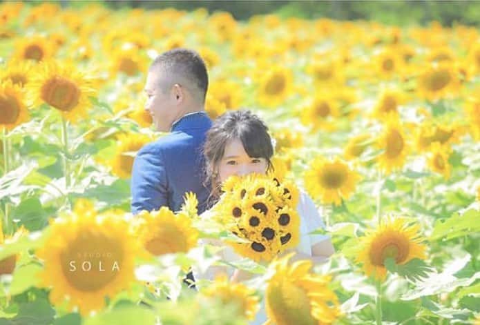 のインスタグラム：「北海道のひまわり撮影は8-9月がおすすめ🌻﻿ ﻿ ﻿ \\オンライン相談会はじめました//﻿ ご予約はプロフィール欄のホームページリンクから✨﻿ ﻿ 7月から9月の撮影予約も好評受付中です！﻿ ﻿ ﻿ ﻿ #パッチワークの丘  #STUDIOSOLA﻿ #スタジオソラ ﻿ @decollte_weddingphoto @decollte_weddingstyle @d_weddingphoto_jp﻿ #weddingphoto  #instagood #結婚式前撮り #新婚旅行 #チェリフォト #北海道旅行﻿ #富良野 #北海道前撮り#牧場 #ロケーションフォト #tokyo_camera_club #前撮り#東京カメラ部﻿ #weddingdress #prewedding #写真好きな人と繋がりたい #ひまわり畑  #ラベンダー  #ウエディングヘア﻿ #wedding #結婚写真 #前撮り #プレ花嫁#卒花嫁 #日本中のプレ花嫁さんと繋がりたい #結婚式﻿ #結婚式準備」
