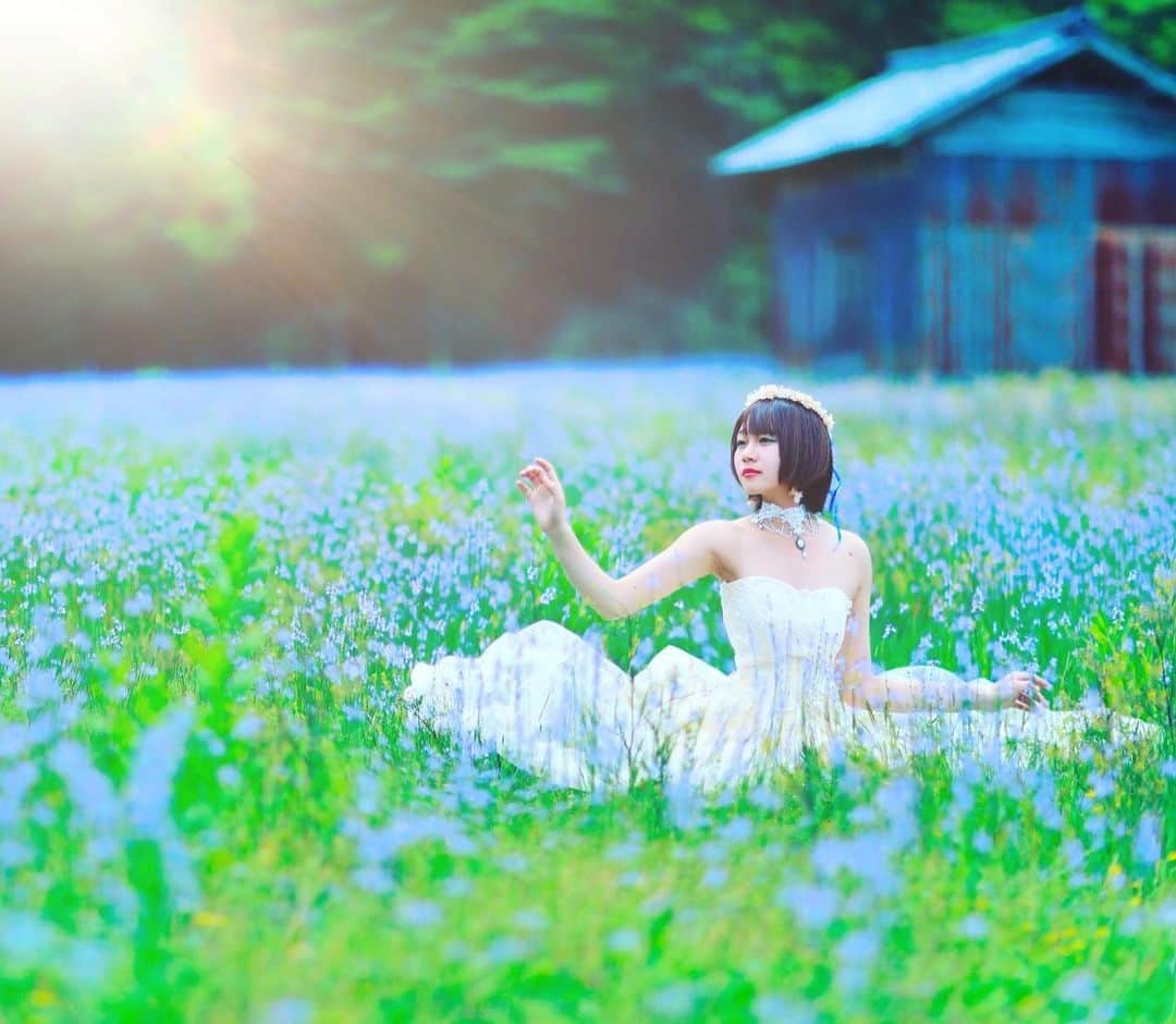 舘林佳史のインスタグラム：「✨ドラマティックフォト✨ ﻿ 青い野花のお花畑めっちゃ綺麗でした🥰 model:マリアAT  誰でも物語の主人公になれるをキャッチコピーに﻿ ドラマや映画の物語のワンシーンの様なDramaticStoryPhot﻿ と言う名前で活動作品作りをしています。﻿ ﻿ 大好評のドラマティックフォトのご依頼は﻿ このクオリティーで30000円〜(ほぼ諸経費)﻿ で受け賜わっています)^o^( ﻿ 素敵な作品を一緒に作りたい！﻿ コラボレーションしたい 美容師・メイクアップアーティストさん ・服飾デザイナーさんクリエイターさんも随時募集中です✨﻿ ﻿ お姫様になりたい👸﻿ 物語の主人公になってみませんか^ ^⁉︎﻿ ﻿ たった一枚の写真で人生が変わる‼️﻿ ﻿ ✨作品作り体験モデルに興味がある方 ﻿ ドラマティックフォト依頼 撮影依頼 ﻿ 体験モデル募集﻿ ①お名前②地域③年齢④身長⑤LINE ID⑥応募理由やお問い合わせ内容⑦最近の髪型スタイルの分かる写真をDMまたはLINE ID510661下さい✨﻿ 📩﻿ モデル宣材撮影 コンポジ Book作り プロフィール撮影 ブライダルフォト記念撮影 衣装レンタル 成人式 着物 ドレスロケーションフォト スチール サロンモデル撮影 写真集等撮影のご依頼何でもお気軽にお問い合わせDM下さい✨📩 ﻿ ﻿ #お花畑 #お姫様 #映画のワンシーン﻿ #インスタ映えスポット﻿ #ファンタジー﻿ #ドラマチック﻿ #観光スポット #フリーモデル#ドラマティックストーリーフォト#インスタ映え#作品作り #撮影依頼#講習会#シューティング#撮影依頼募集中 #ファインダー越しの私の世界 #写真を撮るのが好きな人と繋がりたい  #ストロビスト#ポートレート#ポートレートモデル#モデル募集#被写体#ロケーションフォト#カメラマン#フォトグラファー##excellent_portraits #photographer#ig_bless_women」
