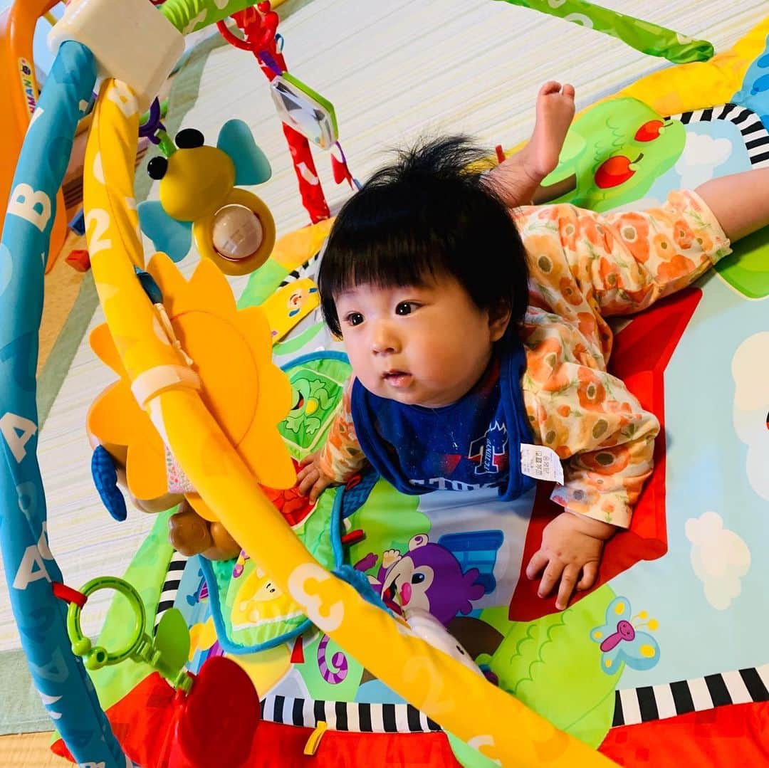 横山愛子さんのインスタグラム写真 - (横山愛子Instagram)「長女の出産祝いに頂いたおもちゃ^ ^ 出してみたら、次女大興奮❤️❤️こうやって代々遊べるのって、とても幸せ！有難い╰(*´︶`*)╯♡ 長女も【これワンコちゃんだよ〜】って教えていました😄😄」5月16日 9時33分 - aiaiko8