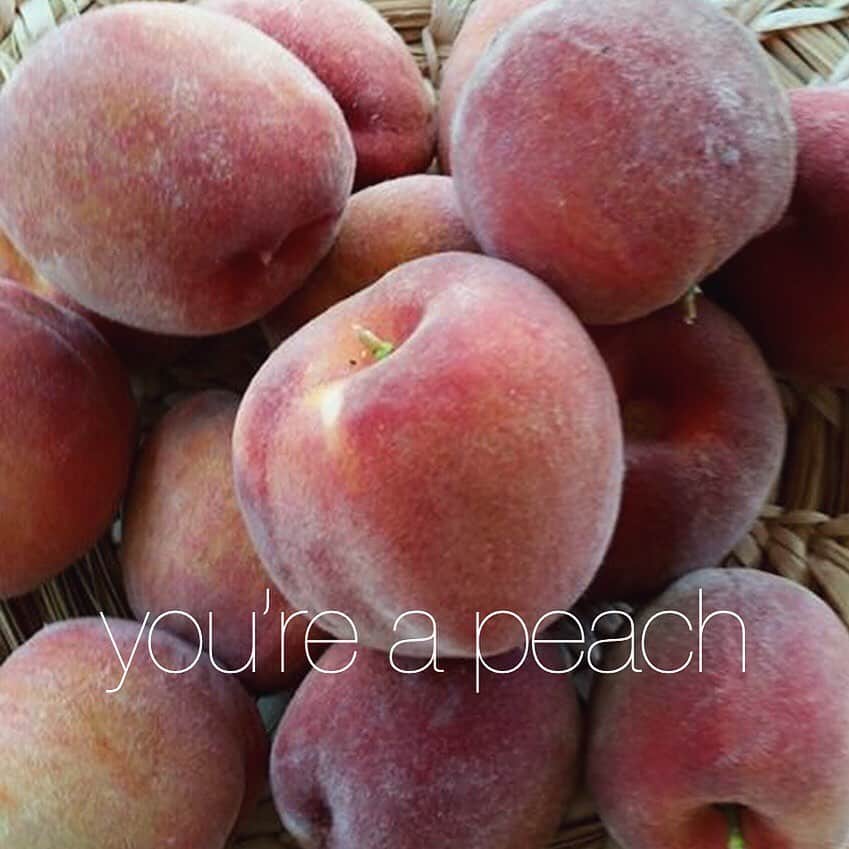 アメリカ大使館さんのインスタグラム写真 - (アメリカ大使館Instagram)「あなただったら素晴らしい人を、何かの物に例えるとしたら何に例えますか❓ 🇺🇸では、実は桃🍑(peach)になるんです。実は、この”peach“は桃🍑だけでなく、「素晴らしい人、素敵な人」という意味も持つ言葉なんです。 なので、相手を褒めたい時、何か感謝を伝えたい時に ”You’re a peach!” 「あなたって最高！」 となります。 是非、使ってみて下さいね😁 . #usa #america #studyabroad #livinginamerica #idioms #phrases #peach #fruit #compliment #greatpersonality #makehappy #アメリカ #アメリカ生活 #留学 #イディオム #フレーズ #英会話 #自宅学習 #英語の勉強 #素敵な人 #褒め言葉 #桃 #ピーチ #素晴らしい人 #笑顔になる言葉」5月16日 9時54分 - usembassytokyo