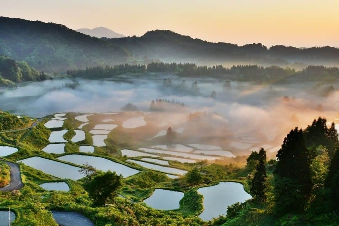 旅色さんのインスタグラム写真 - (旅色Instagram)「＼＼5月16日は『旅の日🌿』 ／／﻿ ﻿なかなか旅に出られない時期が続き、 モヤモヤしている方も多いのでは？ 今日は旅が思い切りできる時に備えて、 次の旅先候補を考えてみませんか？ ﻿ 編集部の気になる旅先を一挙にご紹介！﻿ ﻿ どこか懐かしい棚田のある風景をピックアップ🍃﻿ ﻿ ①松代・松之山の棚田﻿ 星峠の棚田（ほしとうげのたなだ）﻿ 📍新潟県十日町市峠﻿ ﻿ ②明日香村の棚田﻿ 📍奈良県明日香村稲渕﻿ ﻿ ③丸山千枚田﻿ 📍三重県熊野市紀和町丸山﻿ ﻿ https://plus.tabiiro.jp/articles/view/601179﻿ ﻿ ﻿ #旅の日　#次の旅先リスト　#おうち時間　#いつか行きたい　#絶対行こう　#一人旅　#女子旅　#旅　#trip　#travel　#日本風景　#旅気分　#自然　#ナチュラル　#nature　#緑　#絶景スポット #絶景　#癒し　#癒しスポット　#絶景巡りの旅　#棚田　#日本の風情　#ドライブ　#無料で読める電子雑誌　#おうちで旅体験 #旅色 　#旅色プラス」5月16日 10時00分 - tabiiro