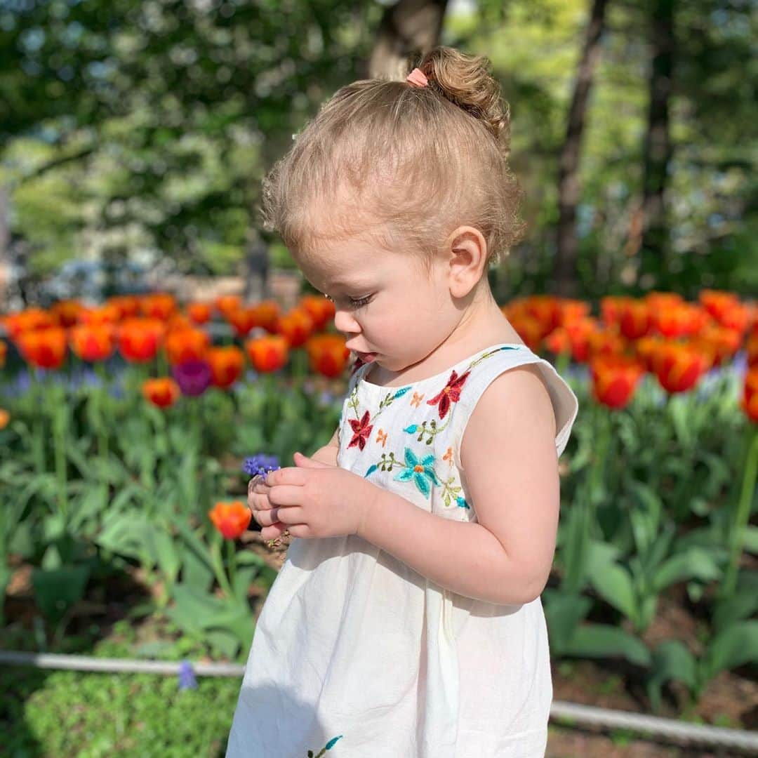 ニック・マルティネスさんのインスタグラム写真 - (ニック・マルティネスInstagram)「Beautiful tulips in Sapporo! Which are your favorites?!」5月16日 10時52分 - nickmartinez22