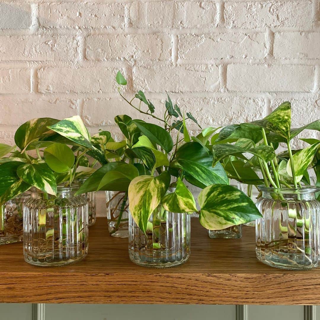 ホテルパシフィック金沢のグルメインスタ