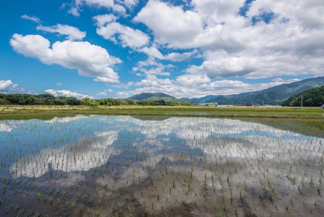のインスタグラム：「【シリーズ　長浜の景色】 これは3年前の写真🌾 この季節は、青空になると大地にも空が広がります✨  滋賀県は、緊急事態宣言が解除されましたが、まだまだ油断は禁物ですね🤫  思うように外出できない毎日ですが、少しでも長浜の景色を楽しんでいただけるよう、過去の写真を織り交ぜながら長浜の景色をお贈りしています☺️ . . location 高月町雨森 date 2017.6.13 . .  #長浜ちょぴっく #みんなのちょぴっく #長浜市 #滋賀県 #広報ながはま #しがトコ #滋賀写真部 #田んぼ  #田植え #japan #60sistercityaan #風景写真 #長浜の景色 #過去pic #がんばろう #コロナに負けるな #元気 #田園風景 #青空 #お気に入り #水鏡 #リフレクション #bluesky #爽快 #landscape #pic_of_the_day #tokyocameraclub #refresh #癒し #relax」