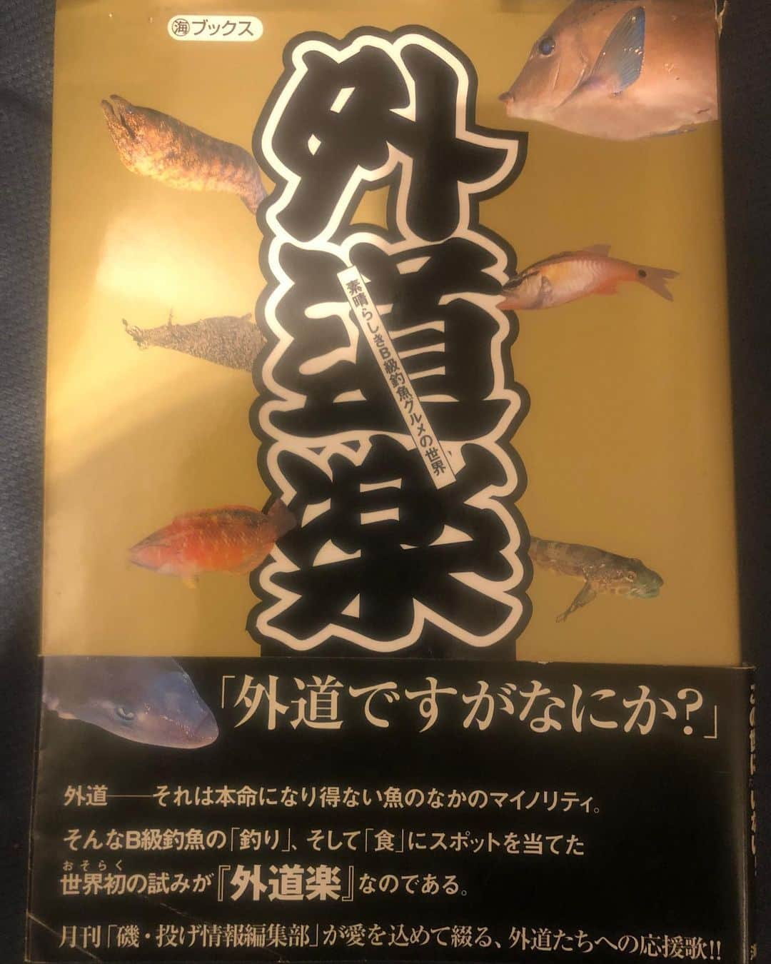 福島和可菜さんのインスタグラム写真 - (福島和可菜Instagram)「Instagramで、 #7日間ブックカバーチャレンジ  と言うバトンをいただきました😊  今日は二冊目✌️ 外道…と言われがちですが、 ✨スペシャルゲスト✨ですね🐟  だいぶ前の本ですが、ずっと大事に持ってる😆 マニアック過ぎて私にはこんなんたまらんのです😊（笑） （7日間ブックカバーチャレンジは、読書文化の普及に貢献するチャレンジで、好きな本を1日1冊7日間投稿すると言うもの。 本に説明無しに表紙だけをアップ。） バトンはすでに回してありまーす✋  #ブックカバーチャレンジ #本 #book #読書 #おうち時間 #enjoy #お魚 #魚 #外道 #ゲスト #スペシャル #マニアック #たまらん #釣り人 #釣魚 #写真 #ずっと見ていられる #ワクワクする #発見 #いつまでも #少年心を忘れない #love #fish #Instagram #up #B級グルメ #📕 #🐟 #🎣」5月16日 20時37分 - fukushimawakana