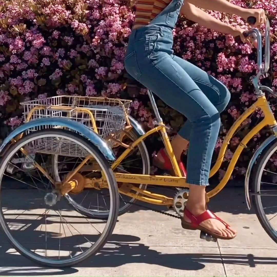 のインスタグラム：「Take comfort for a spin.」