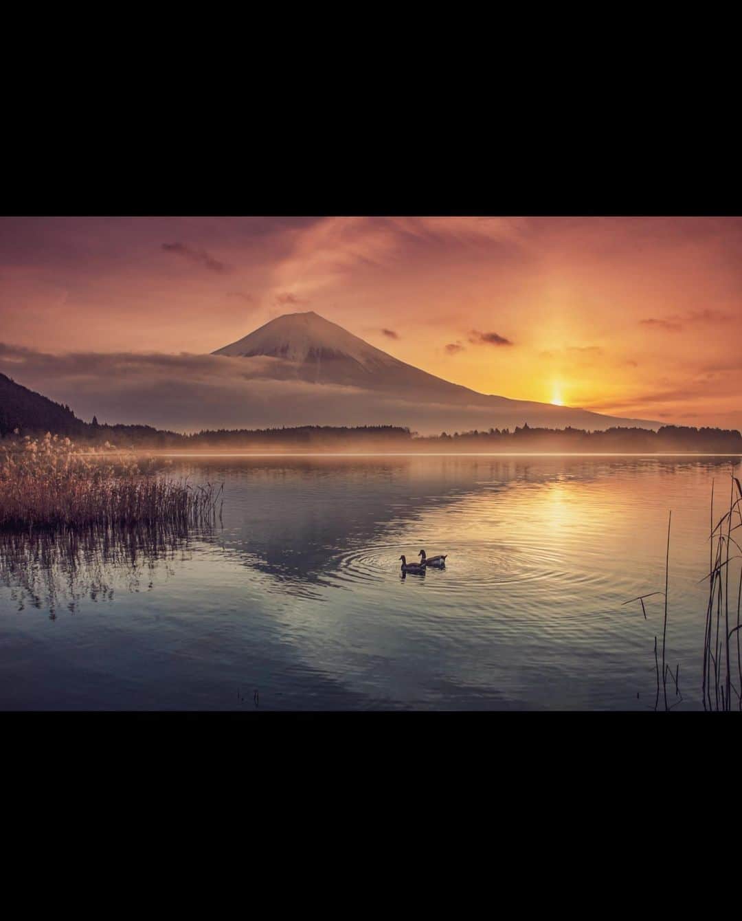 kyoko_zzzさんのインスタグラム写真 - (kyoko_zzzInstagram)「Dream lake  田貫湖の朝  #reflectionphotography #mtfuji #visitjapanjp」5月16日 21時13分 - kyoko_zzz