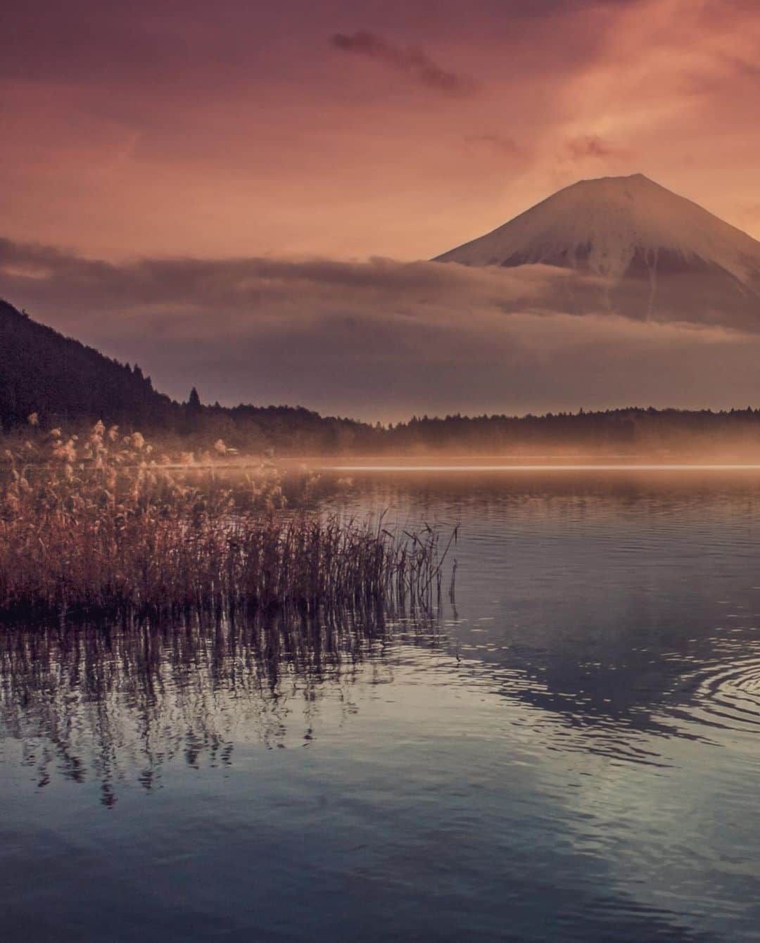 kyoko_zzzさんのインスタグラム写真 - (kyoko_zzzInstagram)「Dream lake  田貫湖の朝  #reflectionphotography #mtfuji #visitjapanjp」5月16日 21時13分 - kyoko_zzz