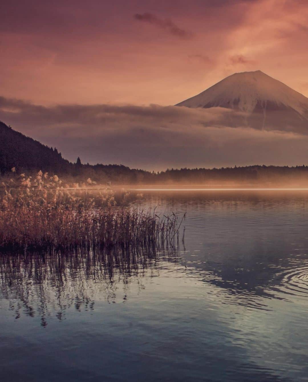kyoko_zzzのインスタグラム：「Dream lake  田貫湖の朝  #reflectionphotography #mtfuji #visitjapanjp」