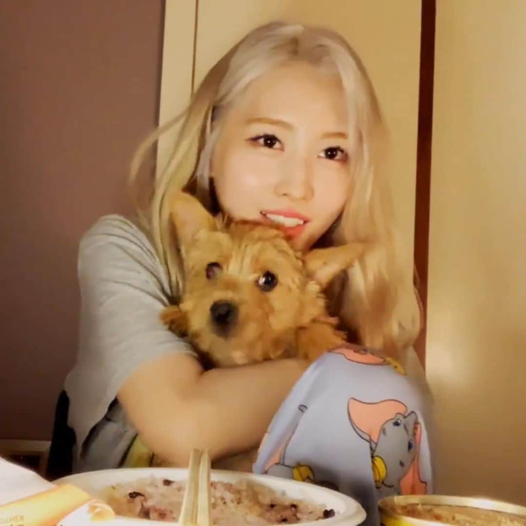 モモさんのインスタグラム写真 - (モモInstagram)「Some cuts from Momo’s VLIVE on 13/5 🐶❤️ -  #MOMO #트와이스 #모모 #平井もも #もも #TWICE」5月16日 21時21分 - momojype