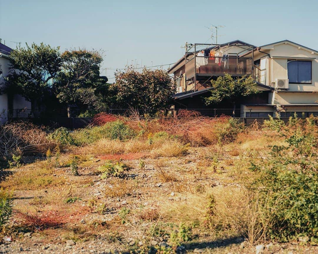 柏田テツヲさんのインスタグラム写真 - (柏田テツヲInstagram)「日常  #film #filmphotography  #landscape #日常 #stayhome」5月16日 21時54分 - tetsuokashiwada