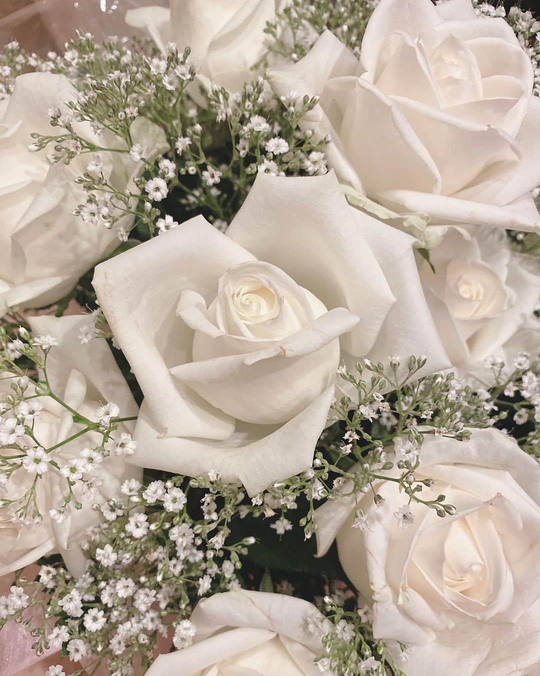 岩上愛美さんのインスタグラム写真 - (岩上愛美Instagram)「真っ白い薔薇って初めてもらった🥰🥰🥰🌹 素敵すぎる✨✨✨ ケーキも嬉しい🎂  #rose #whiteroses #whiteflowers #bouquet #beautiful #birthdaypresent #thankyou #白い薔薇 #花束 #ブーケ #誕生日 #プレゼント 🙏💕💕💕」5月16日 12時57分 - amiiwakami