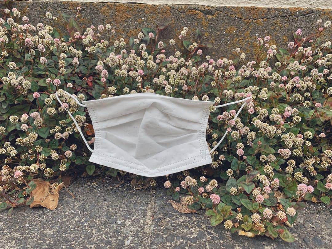 奈津美さんのインスタグラム写真 - (奈津美Instagram)「- #マスク着用 - お花だって 大地だって マスクしたいさ。 - 我々は感染やら汚染から 便利なもの作って使って 防いでるけども、、、 自然はやられたい放題だよなぁ。 - 感受性が豊かすぎる原田は そんなメッセージを受け取った。 - そんな原田は最近、電力会社を 再生可能エネルギー100%の所に 変えましたっ🦧🤍 自分にできることから。 - #ecofriendly #savetheearth #みんな電力 #地球に優しい暮らし」5月16日 13時29分 - natsumi_7.2.3