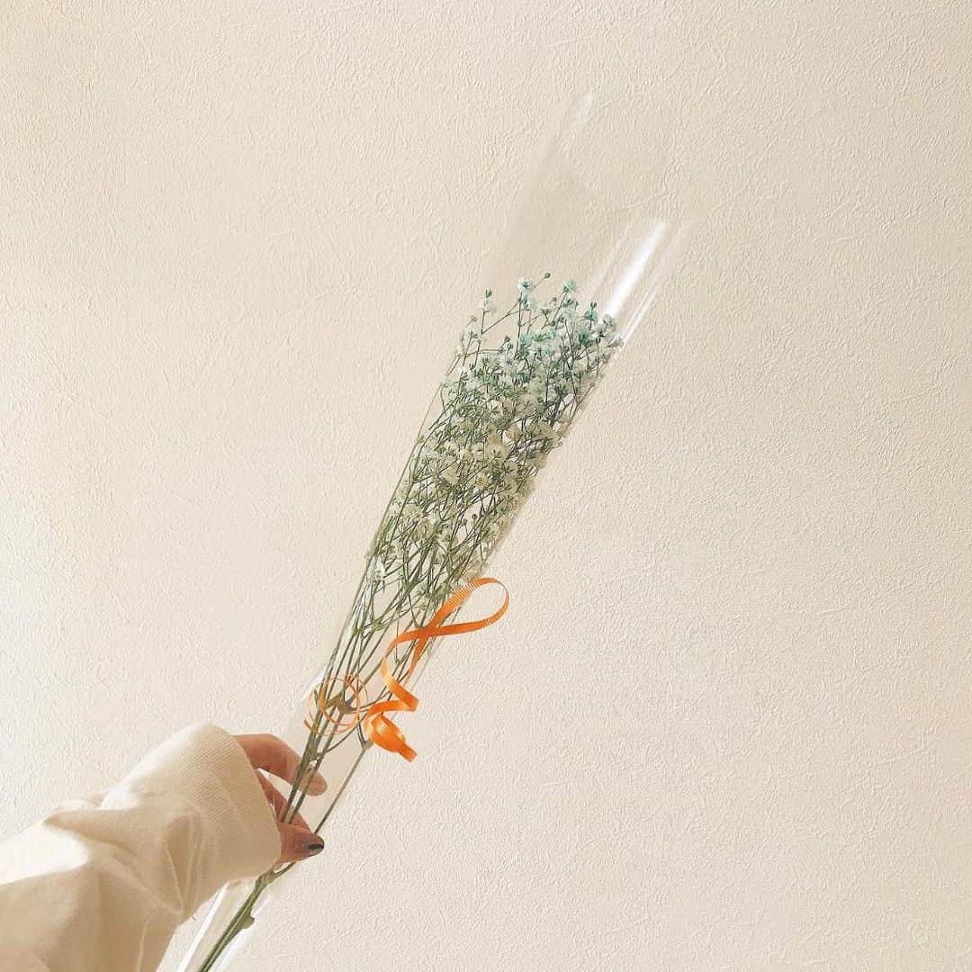 前田亜美のインスタグラム：「. . お花。生きてていいね。ドライフラワーも好きだよ。かすみ草結構上位に好き❁✿✾」