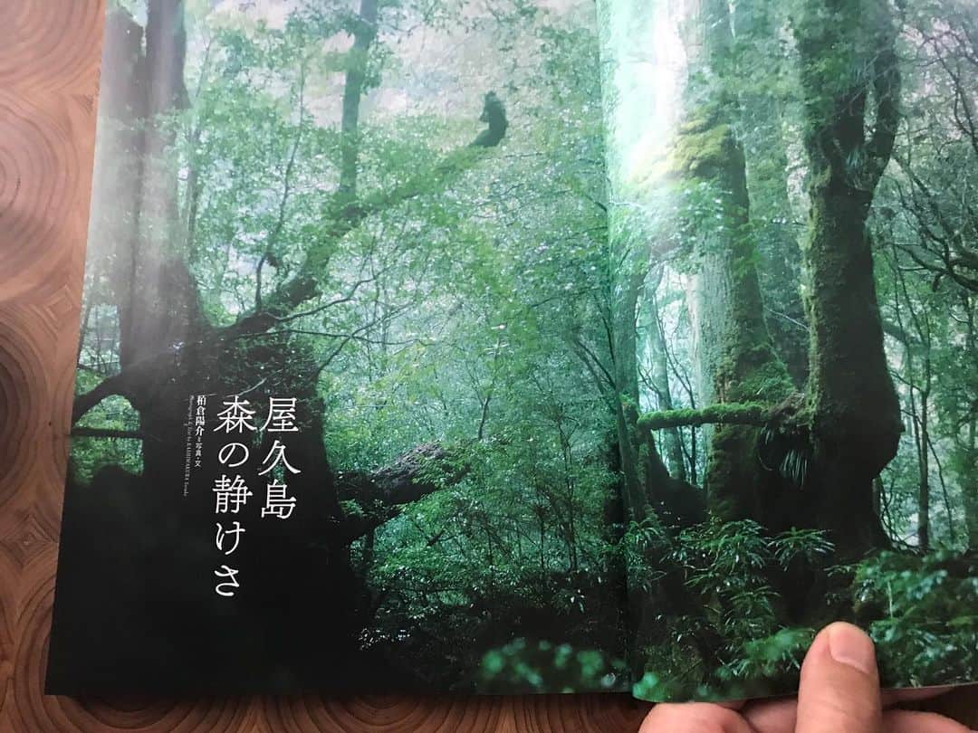 のインスタグラム：「昨日発売された山雑誌「山と渓谷」の巻頭グラフに屋久島写真が8ページ掲載されています。森の静けさについても文章を書いています。よろしければご覧下さい。 📷 #写真 #風景 #カメラ #ミラーレス一眼 #カメラのある生活 #unknownjapan #stayhome #ステイホーム #山 #アウトドア #登山 #自然 #屋久島　#山スタグラム」