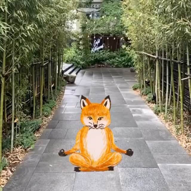 Gildas Loaëcのインスタグラム：「Yoga fox is great fun to play with ✌🏻🦊 yoga fox filter @maisonkitsune insta thanks @bohemihyun 🙏🏻 for the @maisonkitsune and @cafekitsune Seoul tour」