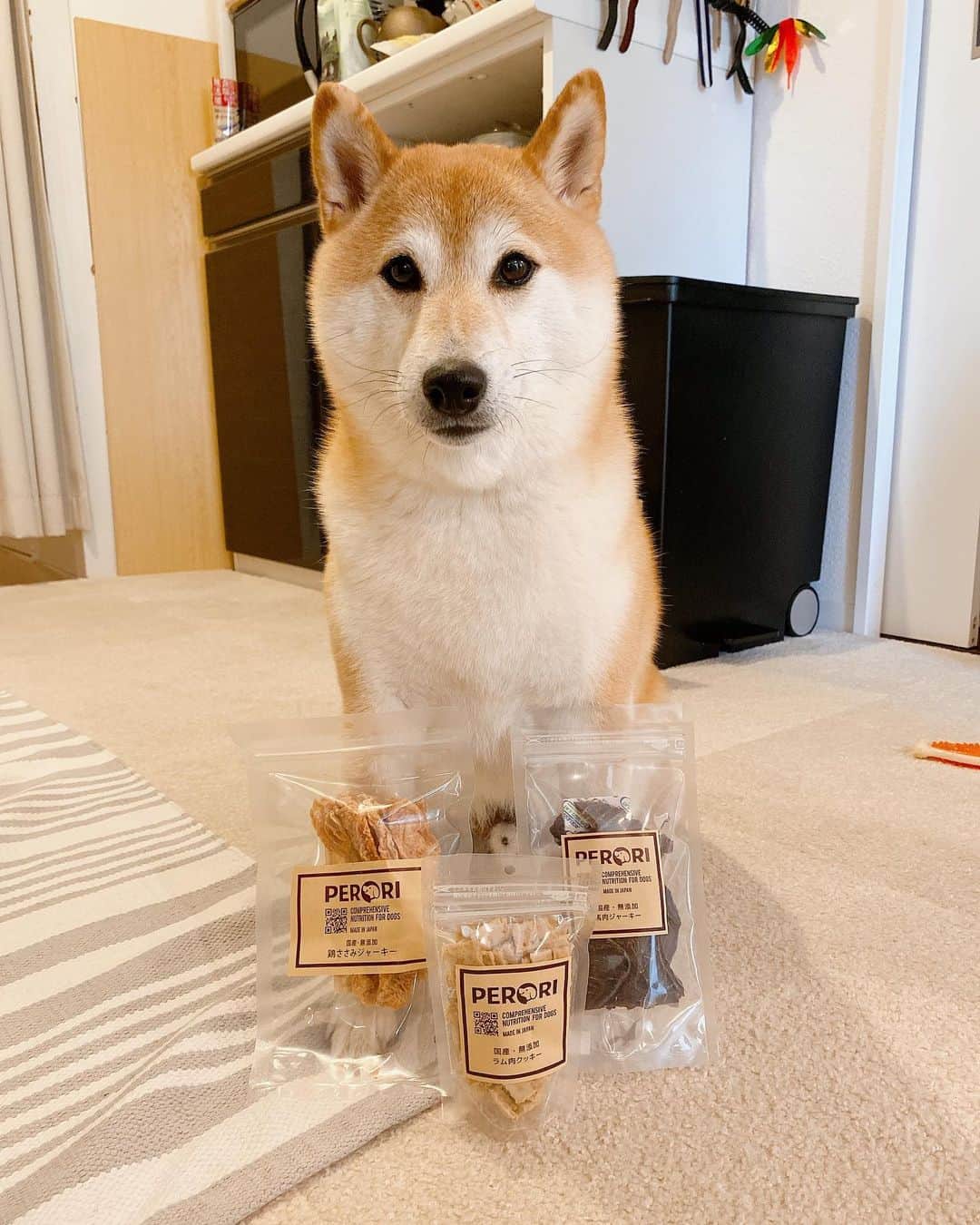 柴犬Mamesuke・Korosuke??大阪さんのインスタグラム写真 - (柴犬Mamesuke・Korosuke??大阪Instagram)「🐱🐻 🐾----*----*----*----*🐾 二人の大好きなオヤツが届いたよー😋 オヤツは基本、フードドライヤーで手作りしてますが、たまにはいつもと違うテイストのんも食べたいよねー💕 ここのオヤツは安心して与えれます☺️💕 @dogfood_perori #ドッグフードPERORI 🐾----*----*----*----*🐾 #MameKoro #豆コロ #豆柴 #柴犬 #赤柴 #豆介 #コロ介 #shibagram #shibastagram #shibainu #shiba #shibadog #🐕📷 #いぬのきもち」5月16日 15時54分 - mame_suke_i