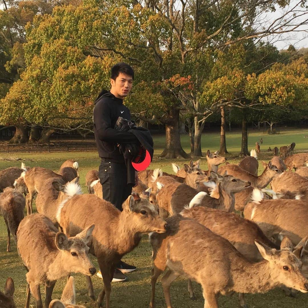 村田諒太さんのインスタグラム写真 - (村田諒太Instagram)「またまた随分前の写真です 奈良公園の鹿に会いたいな 奈良は良い街です 奈良に生まれ育って良かったなと思っております。 #奈良 #鹿 #田舎育ち #故郷が好き #奈良県出身」5月16日 22時11分 - ryota_murata_official