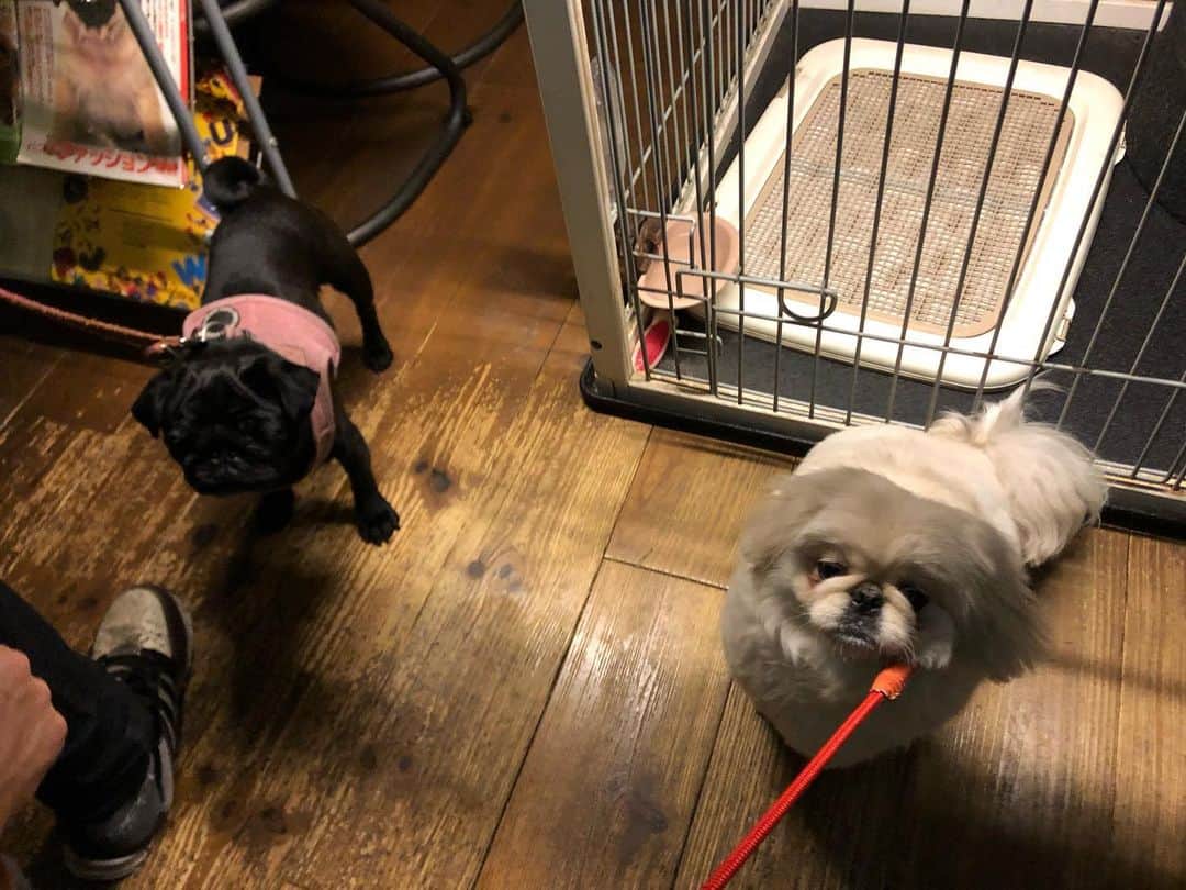 有田優理香のグルメインスタ