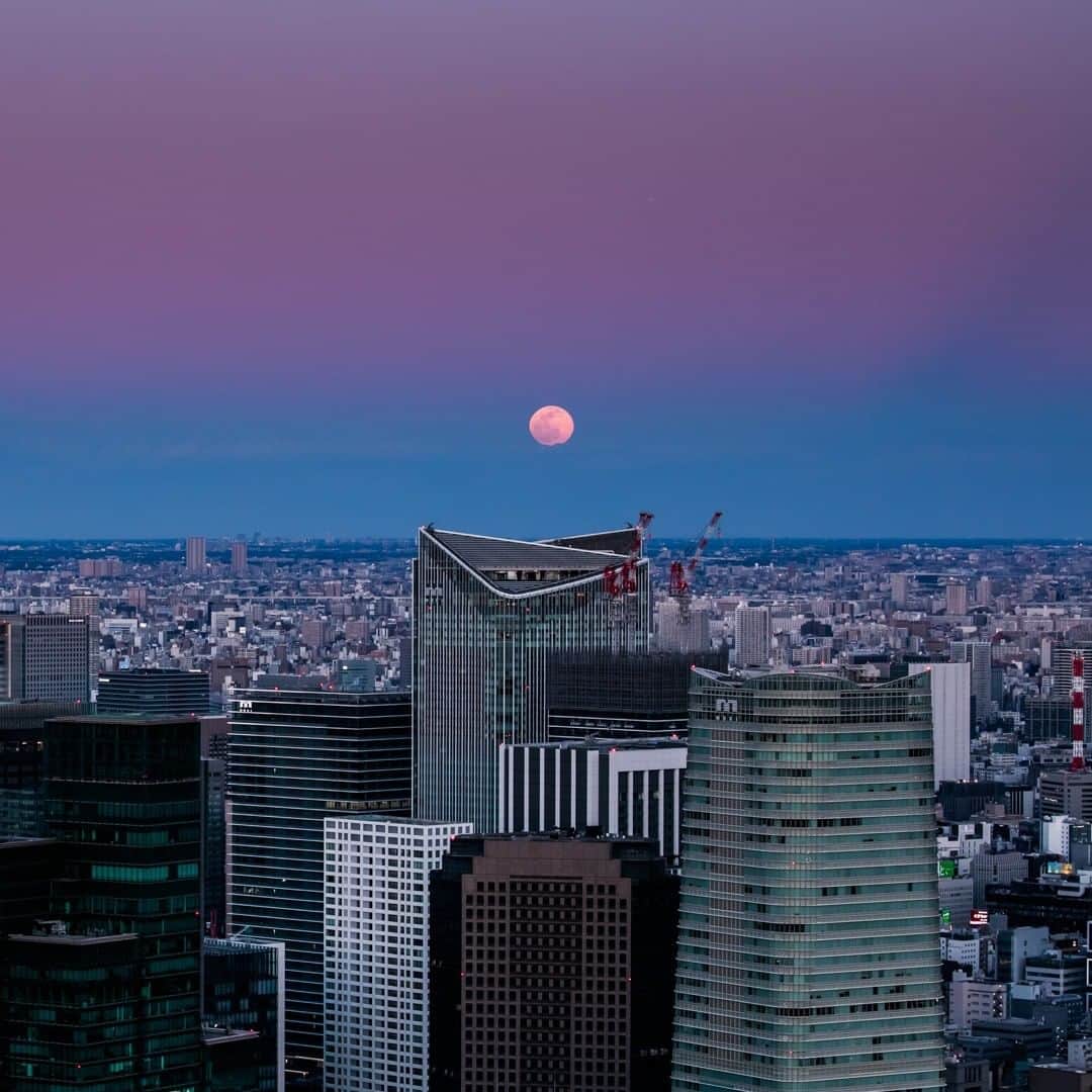 Tokyo City View 六本木ヒルズ展望台のインスタグラム：「📸六本木ヒルズ展望台 東京シティビューから絶景画像をお届け中！  薄紫色のまるい星が浮かび上がる神秘的な空。まるで違う星の景色を眺めているようですが、こちらは今年2月の満月の日の東京です。🌝✨ #StayHome #うちで過ごそう #おうち時間 #東京シティビュー #tokyocityview #休館中の展望台 #SNSで楽しむ展望台 #荒谷良一」