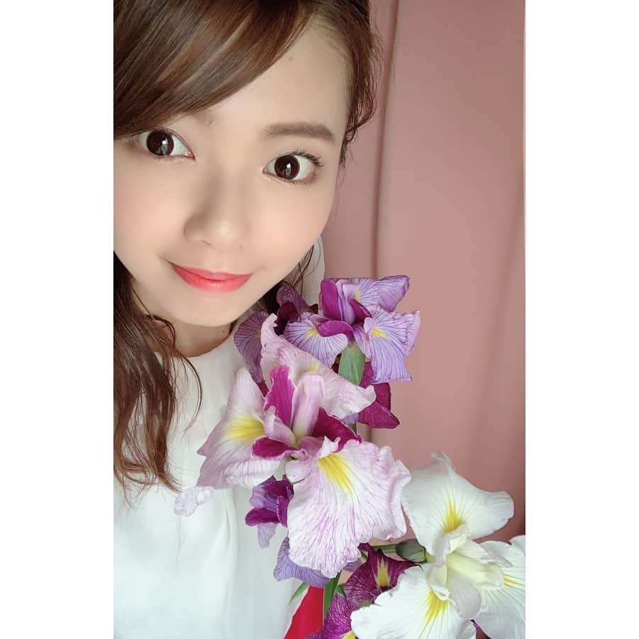 加藤里奈（カトリーナ）さんのインスタグラム写真 - (加藤里奈（カトリーナ）Instagram)「今日NHKウイークエンド中部で 紹介したお花💐 「5月のあいちの花 花しょうぶ」 紫と黄色のコントラストが綺麗💜💛 優美な花びらは品があります🦋 癒されるなあ〜😌💕 背の高い花なので長めの花瓶に生けるとかっこいい！！ 花言葉は「嬉しい知らせ」だそう😳 縁起もいいですね👍 * * #NHK #名古屋 #愛知  #自宅待機 #stayhome #はなふぉと #はなのあるくらし #はな #flower #家で過ごそう #はな #花のある暮らし #花 #花写真 #花倶楽部 #花束 #花のあるくらし #花まっぷ #はなまっぷ #ハナショウブ #花しょうぶ #フラワー #flowers #flowerstagram #花束💐 #しょうぶ #菖蒲 #news #外出自粛 #うちで過ごそう #家での過ごし方」5月16日 18時03分 - rinakatoktriiina