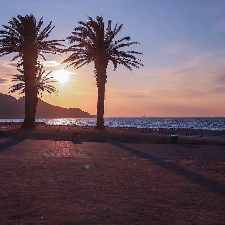 愛知県田原市さんのインスタグラム写真 - (愛知県田原市Instagram)「あしたは天気になあれーー！ May it be fine tomorrow!  #白谷の#夕陽 #今週もみんなお疲れさま #やしの木家族と一緒に#夕陽で癒されよう #今日は冷えるね #夕焼け小焼け #やしの木 #たはら暮らし #渥美半島#田原市#伊良湖岬#伊良湖#赤羽根 #tahara#irago#akabane#サーフィン#surfing#田舎暮らし#日々の暮らし #休日の過ごし方#スローライフ」5月16日 18時25分 - tahara_kurashi