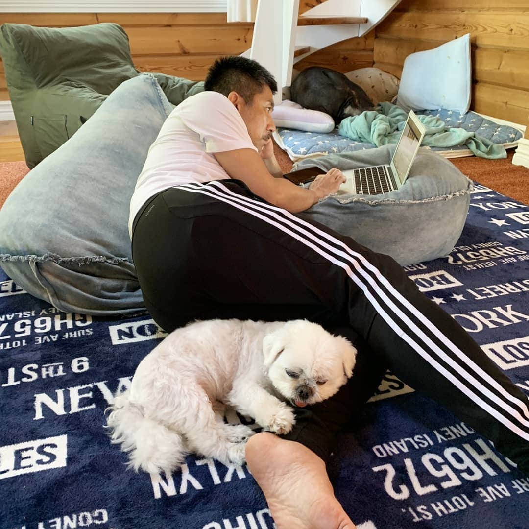 前園真聖さんのインスタグラム写真 - (前園真聖Instagram)「僕の脚を枕にして寝るアンジェロ💤😊 #アンジェロ #ミックス犬 #前園真聖」5月16日 18時40分 - maezono_masakiyo