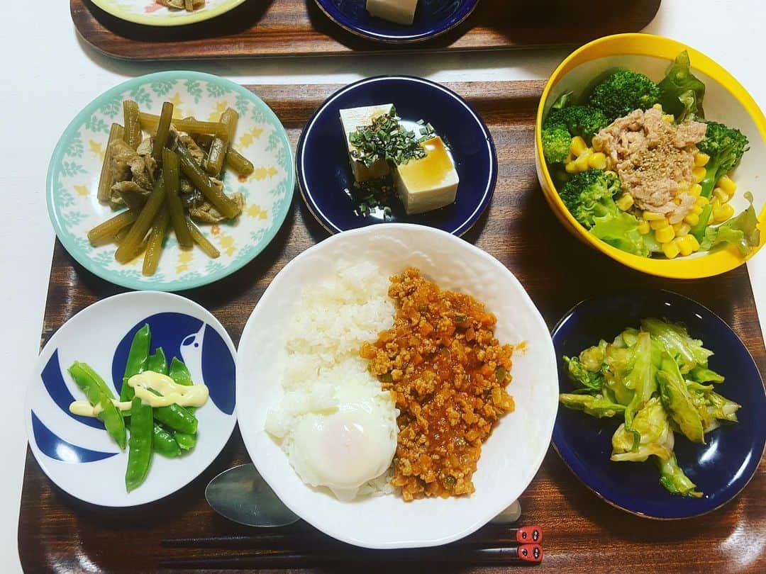 有働文子さんのインスタグラム写真 - (有働文子Instagram)「#お家ご飯記録 ﻿ #トマトと挽肉のドライカレー ﻿ #さやえんどう【収穫仕立て】﻿ #ふきとあぶらあげの煮物 #冷やっこ ﻿ #キャベツ【いただきもの】の麺つゆ炒め﻿ #ブロッコリーサラダ【ツナ以外いただきもの】﻿ ﻿ 旬の野菜は、やっぱり美味しい☺️💕﻿ 野菜が美味しいって幸せだなー🎵﻿ ﻿ #野菜ソムリエ #フリーアナウンサー #お家ご飯 #野菜が美味しい #収穫仕立て」5月16日 19時25分 - udou_fumiko